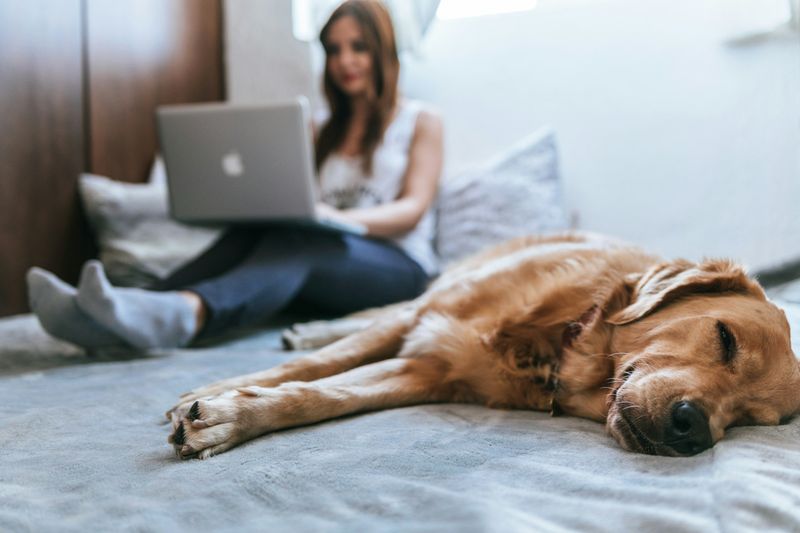 The Over-Performer: Over-Functioning to Avoid Being “Too Needy”