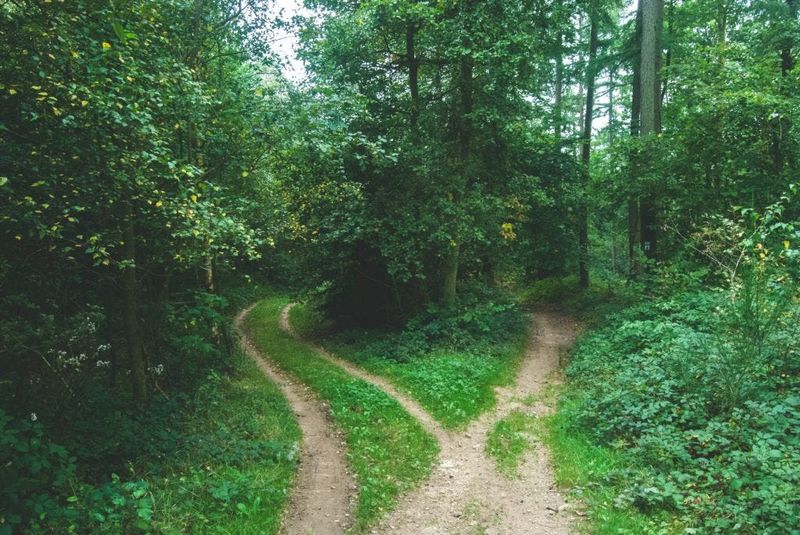 Drifting Apart: Growing in Different Directions