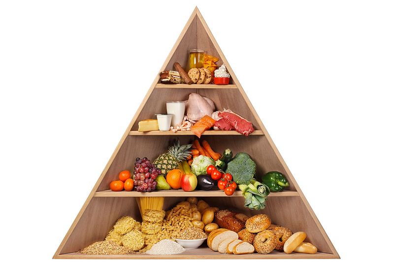 “The food pyramid is science.”