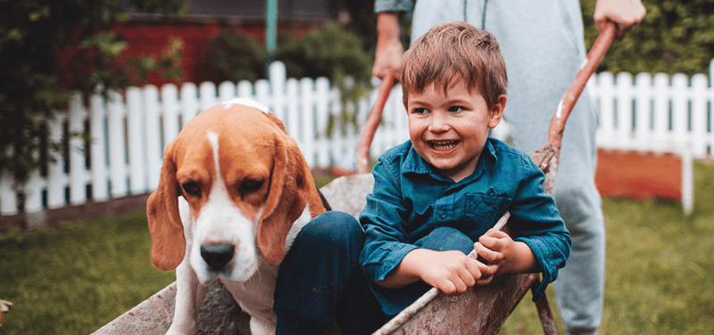 Finding joy in small, ordinary things