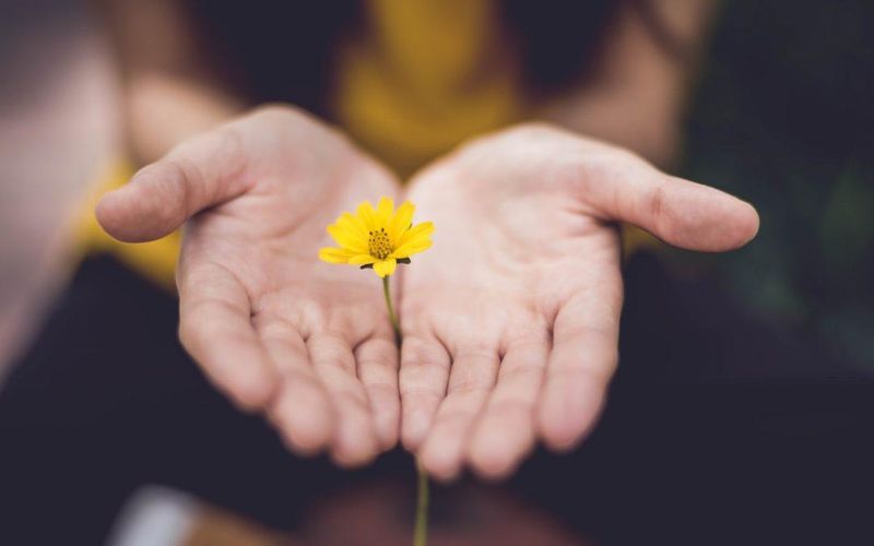 Altruism