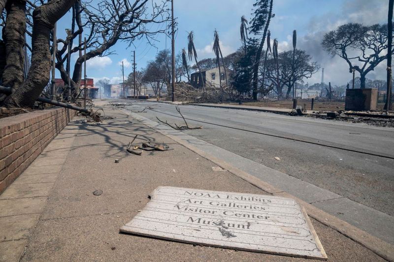 Climate Crisis Anxiety
