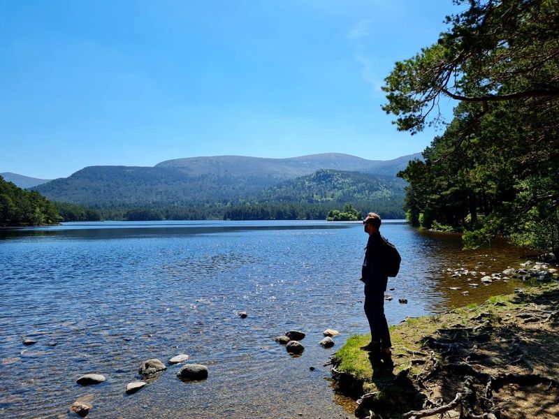 “I’ll take the high road from here.”