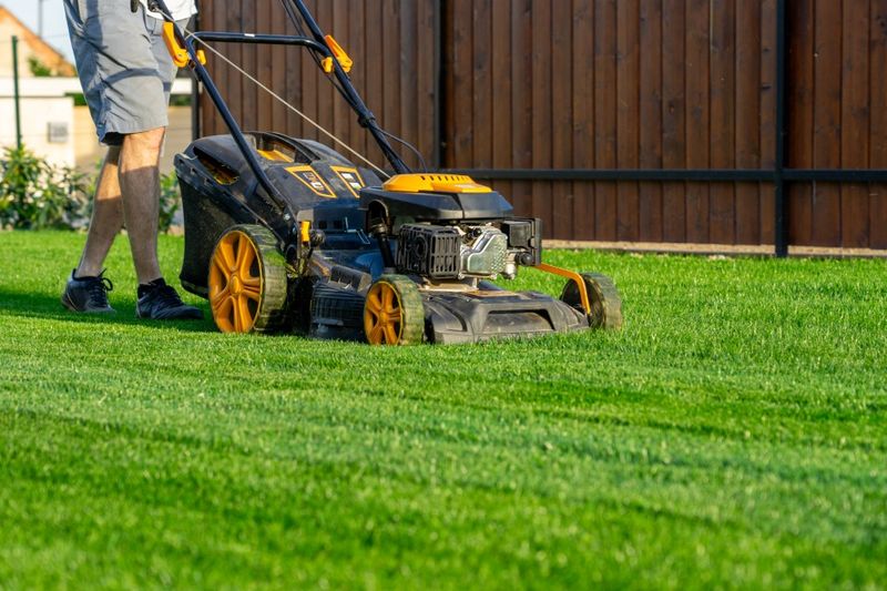 He’d Rather Mow the Lawn Than Attend a Party
