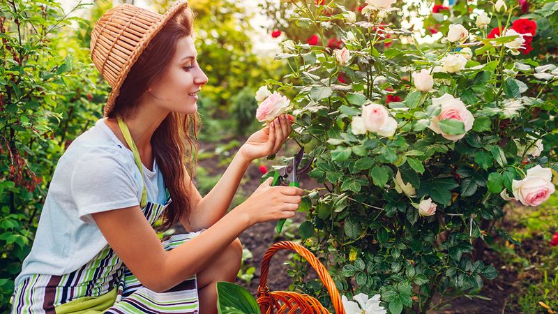 Noticing beauty in small things