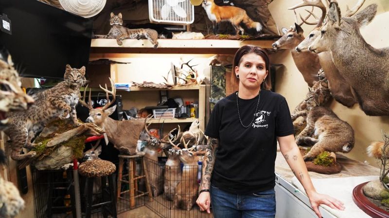 Taxidermy
