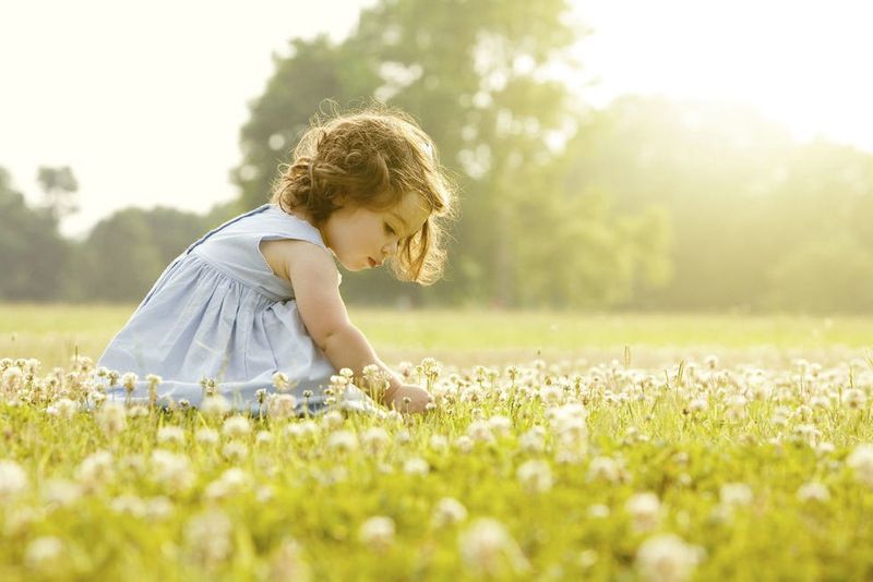Meadow