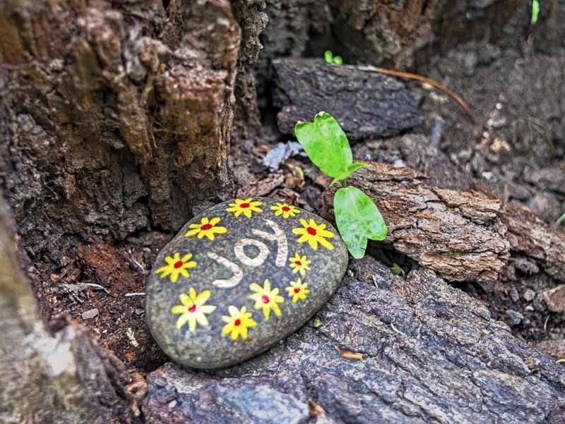 Kindness Rock Painting