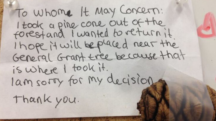 Raising Kind Kids: 17 Heartwarming Signs Your Children Are Growing Into Compassionate Adults