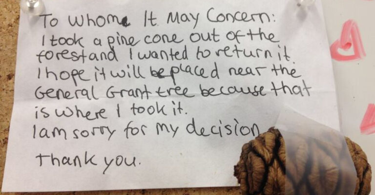 Raising Kind Kids: 17 Heartwarming Signs Your Children Are Growing Into Compassionate Adults