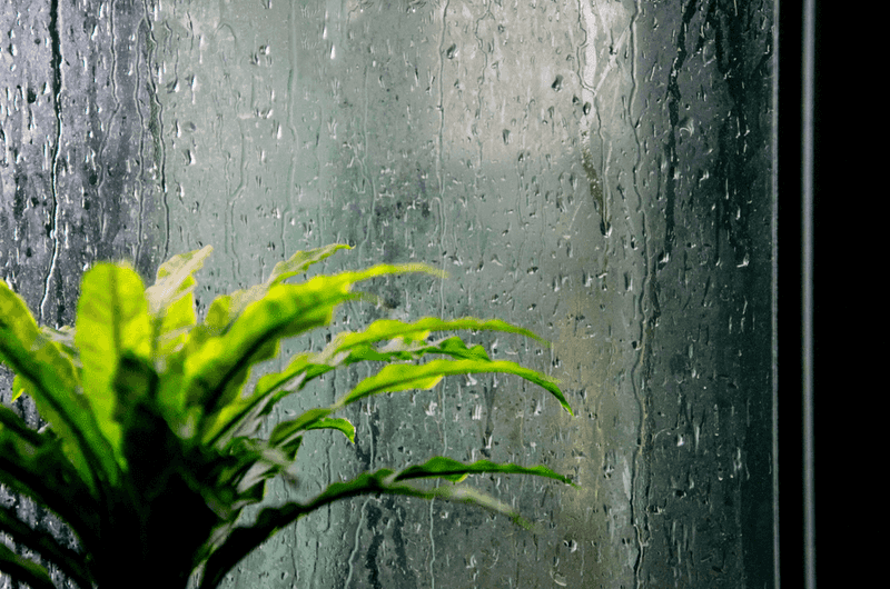 Let rain be a reason to slow down, not complain.