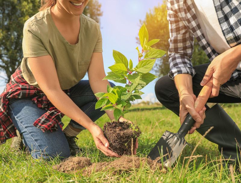 Ask: Are We Growing Together or Just Occupying Space?