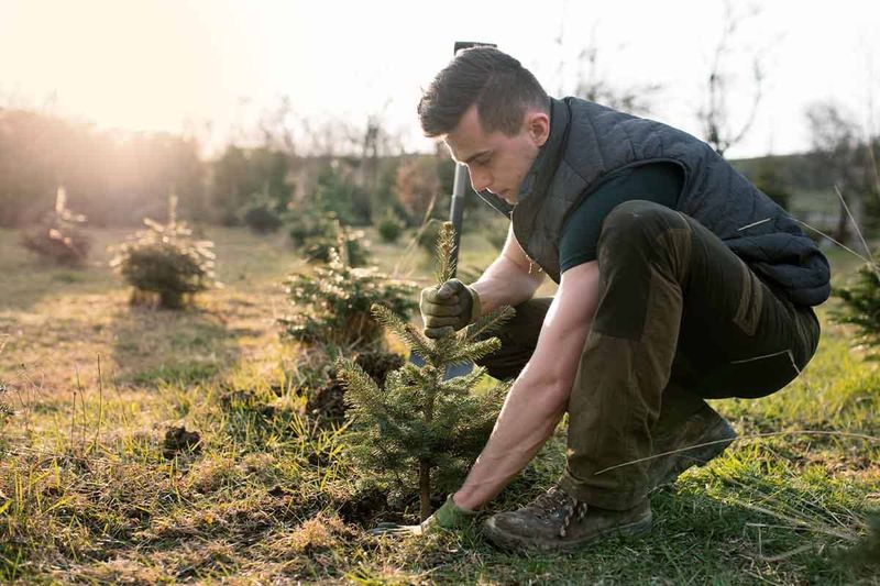 Tending a garden as therapy