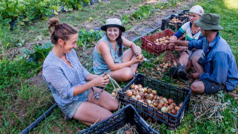 Volunteer for something close to your heart