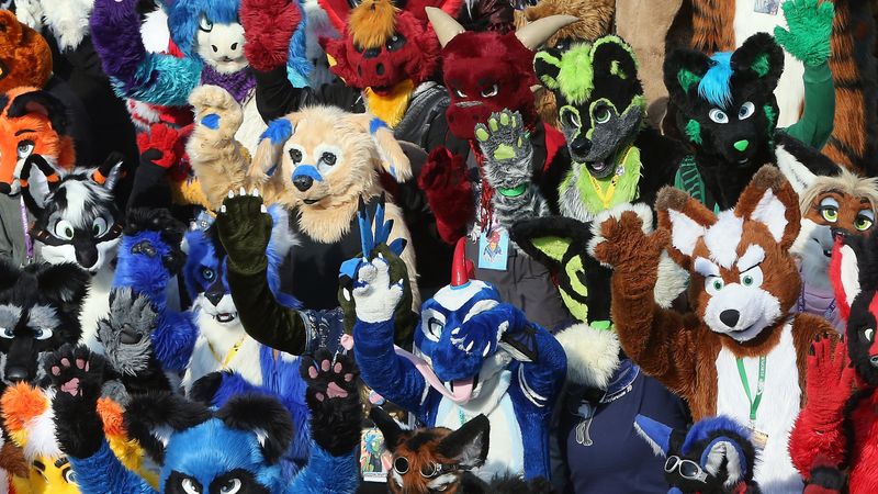 Furry Fandom