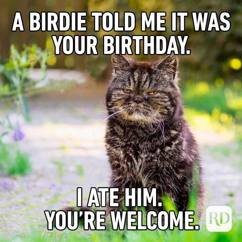 Birthday Party: Now Featuring Kids