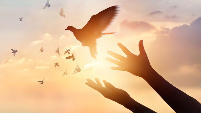 They Practice Letting Go of Grudges (Even When It’s Not Fair)