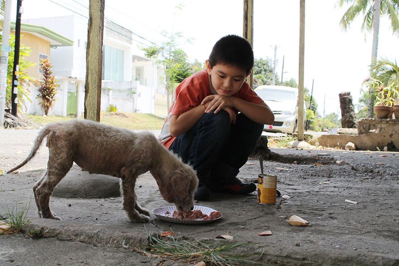 They Care for Animals, Big and Small