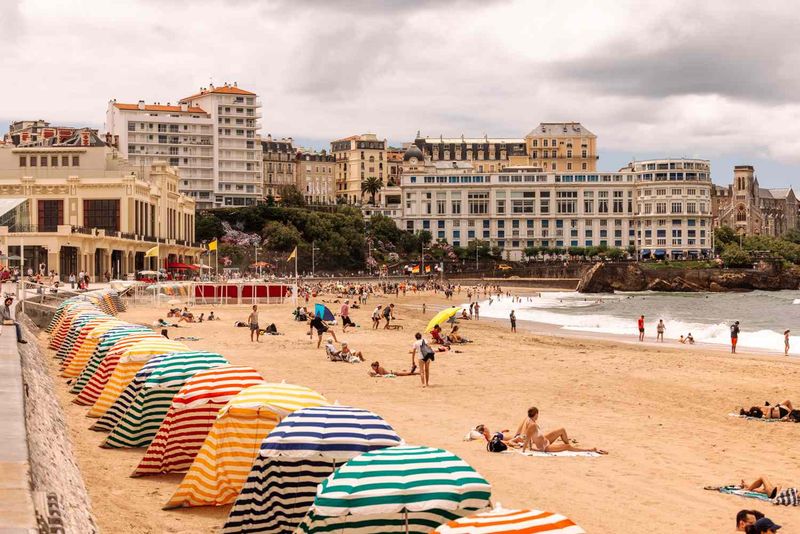 Sunbathing—Just Another Day at the Beach