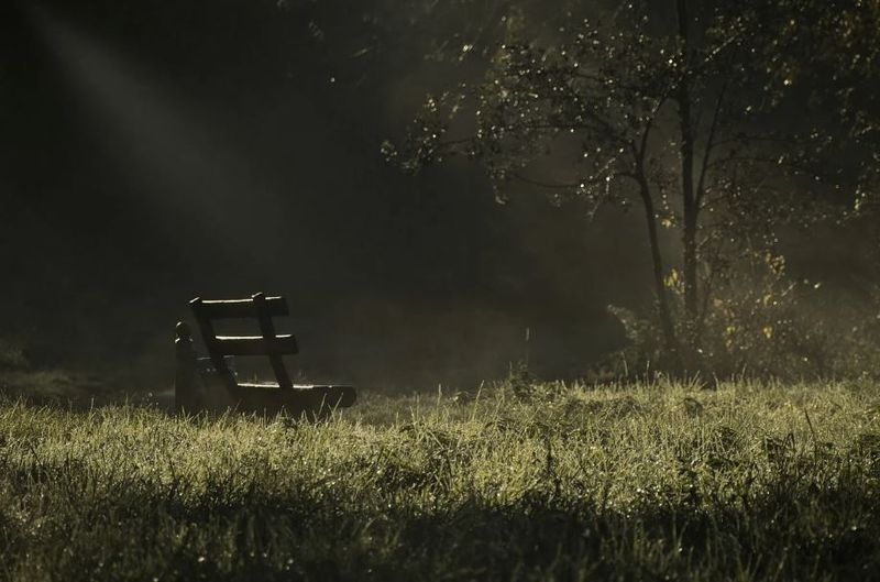 Impatience with Grief’s Timeline