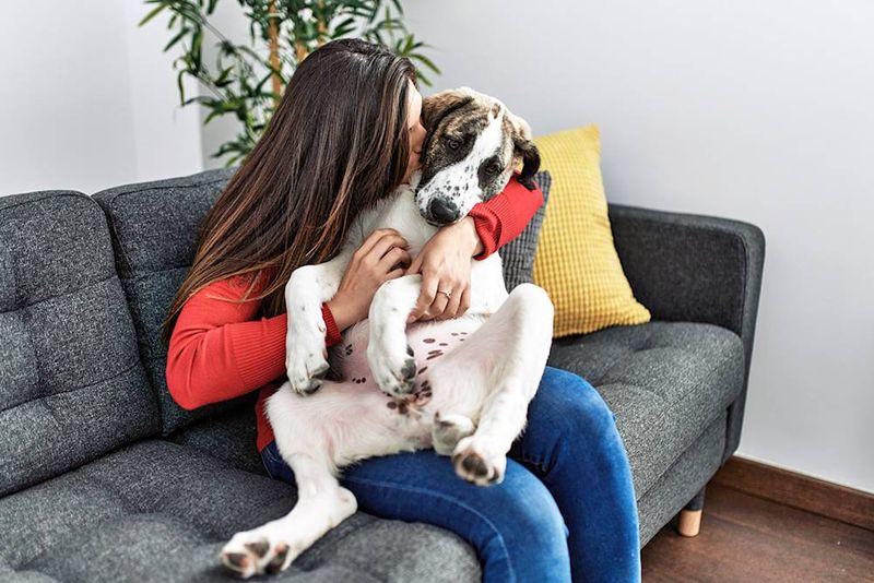 Talking to Our Pets Like They're Human Roommates