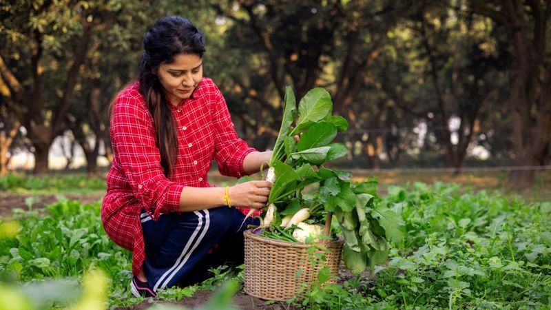 Home Gardening