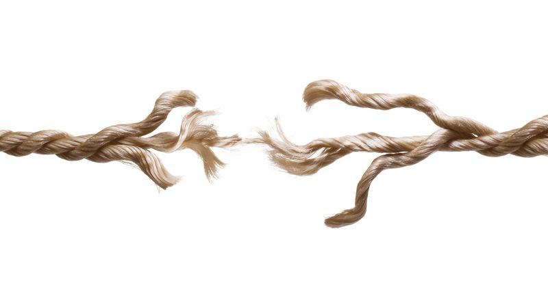 What am I clinging to out of habit—not love?