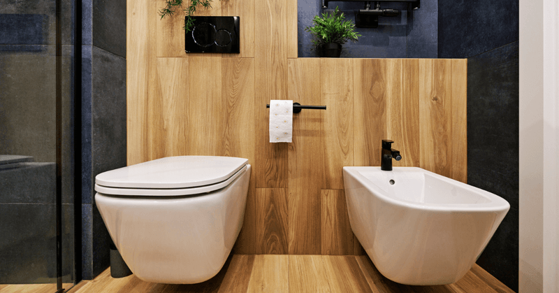 The Great Bidet Mystery