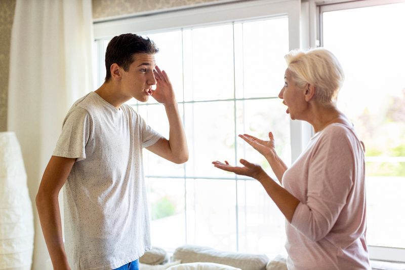Their Emotions Control the Household Mood