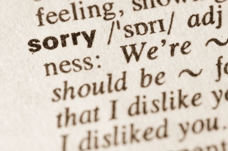 You apologize for your emotions