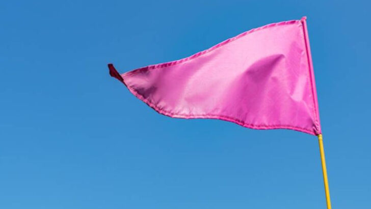 You’ve Heard Of Red Flags, But Here Are 20 ‘Pink Flags’ To Pay Attention To In Relationships