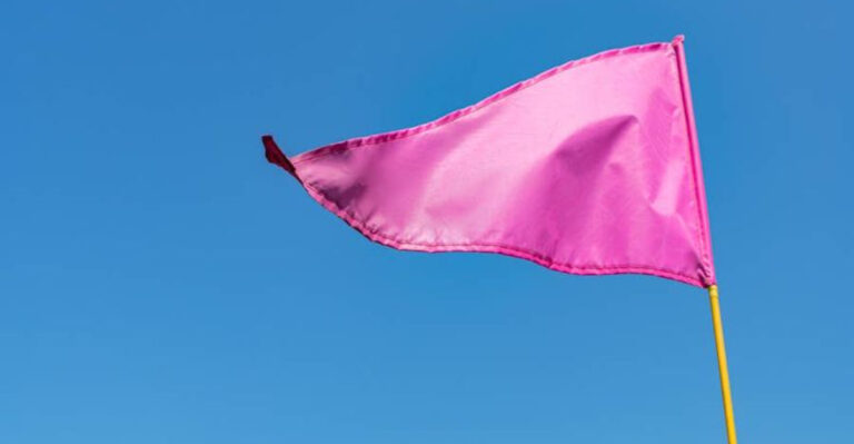 You’ve Heard Of Red Flags, But Here Are 20 ‘Pink Flags’ To Pay Attention To In Relationships