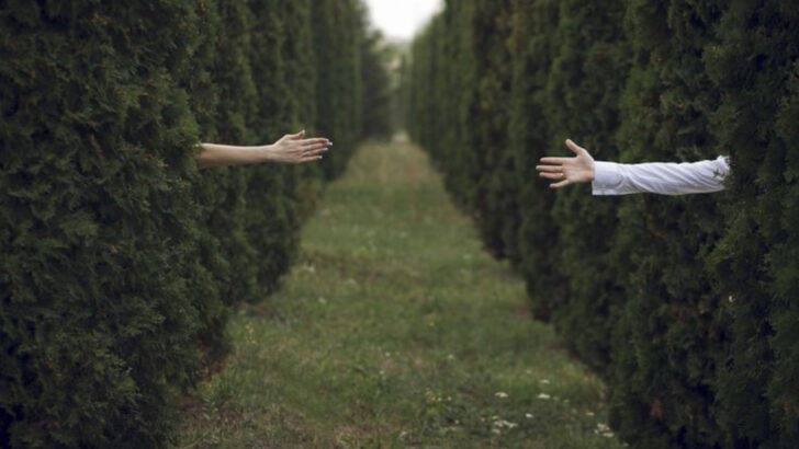 10 Marriage Tips From Divorced Women & 10 From Divorced Men