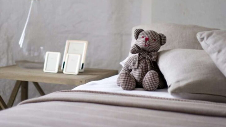 19 Things In Someone’s Home That Instantly Reveal They’re Not Emotionally Mature Yet