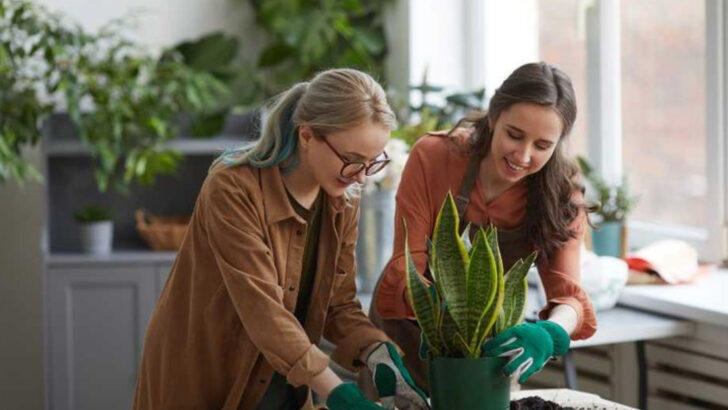 20 “Granny” Hobbies That Gen Z Loves