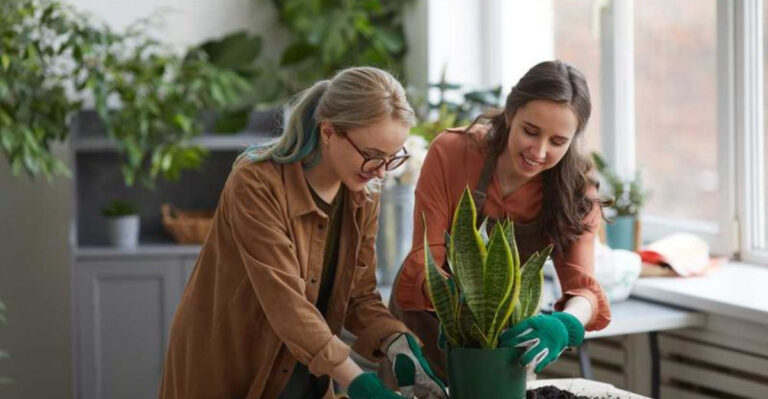 20 “Granny” Hobbies That Gen Z Loves