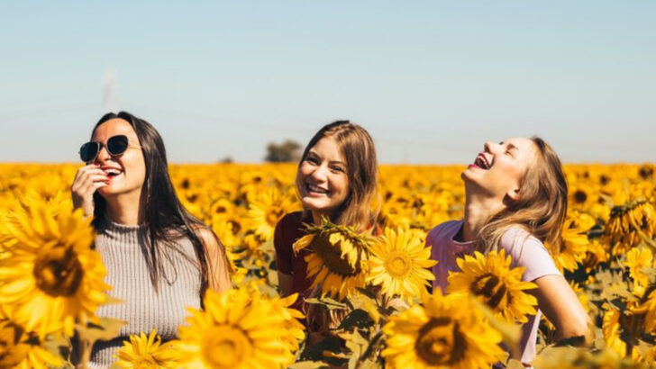 20 Powerful Tips on How to Say No Without Guilt