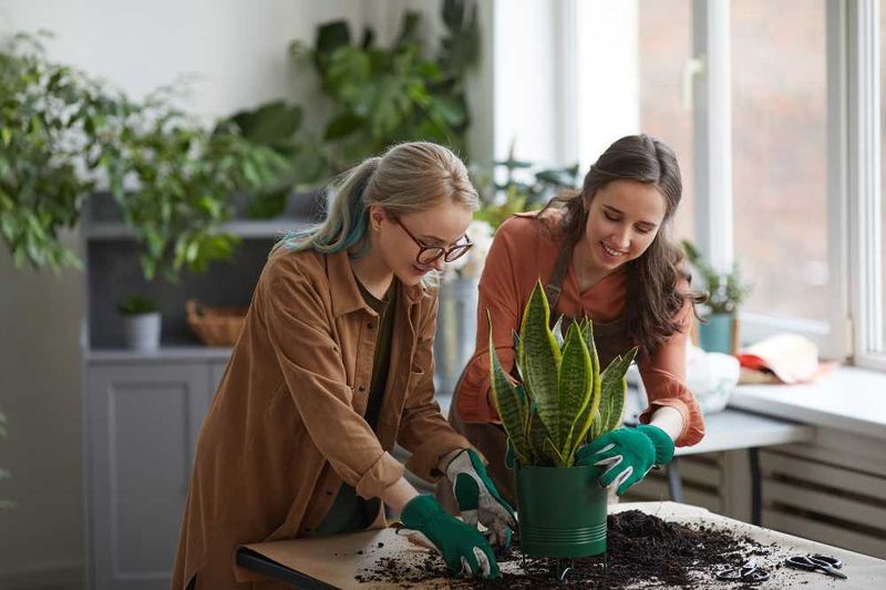 Gardening and Indoor Plants