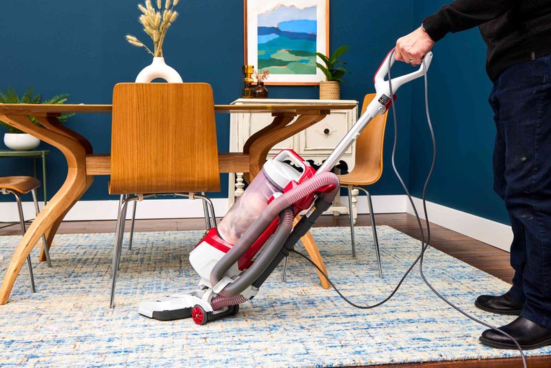 Dust Bunnies and Pet Hair Tumbleweeds