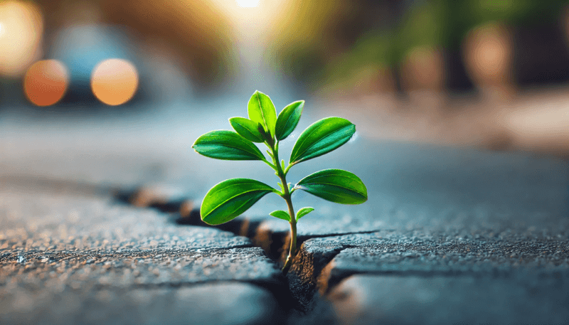 Resilient to Failure