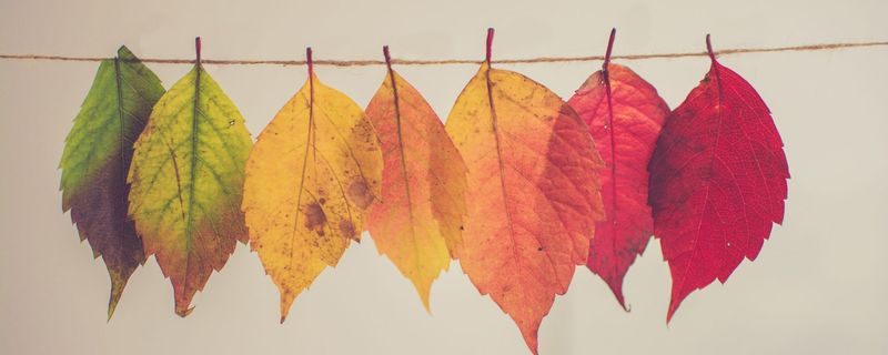 Being Resistant to Change