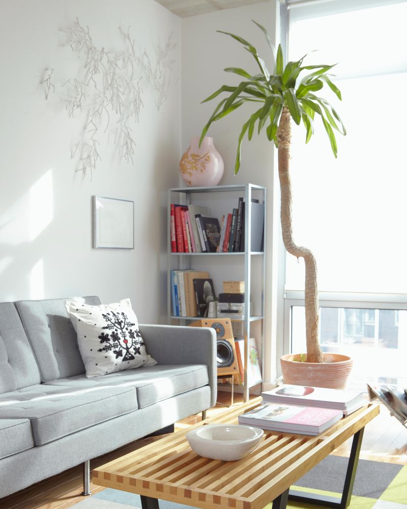 Decorating with Houseplants Everywhere