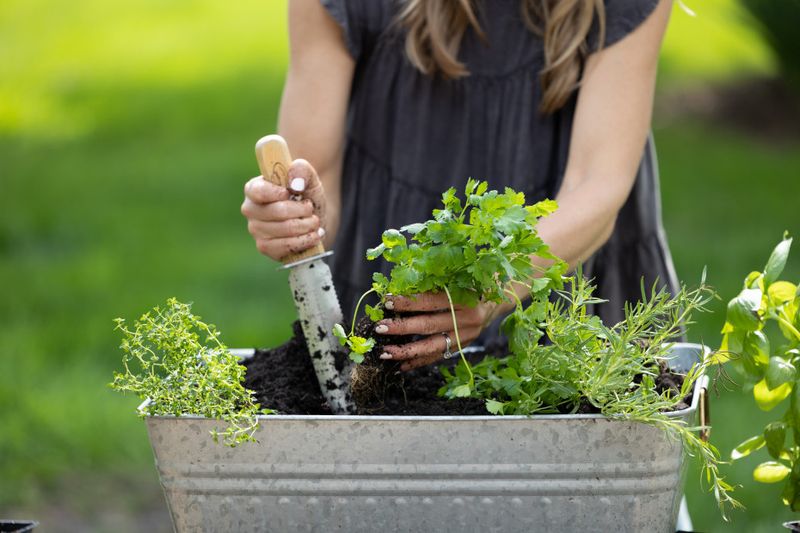 Build a garden or plant herbs together