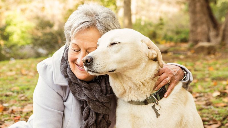 Finding Unlikely Soulmates (Pets or Quirky Collectibles)