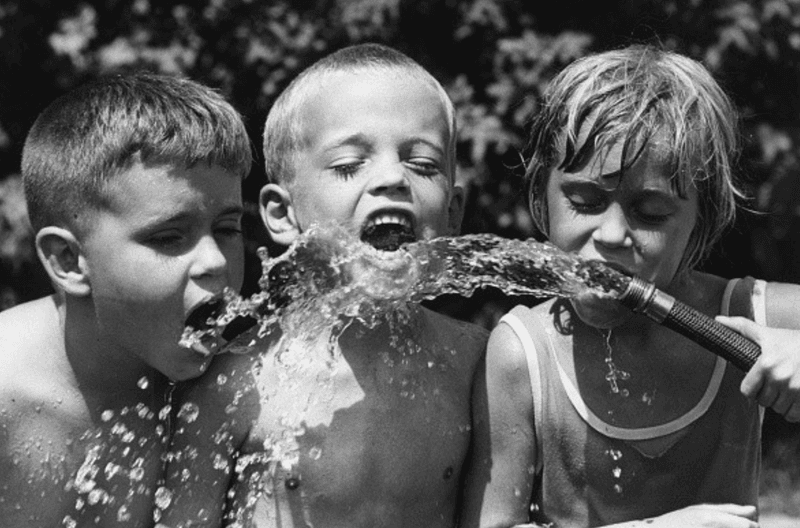 Drinking from garden hoses on summer days