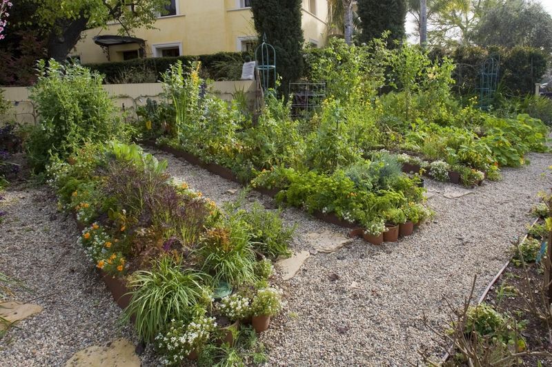 Growing Their Own Food in Small Gardens