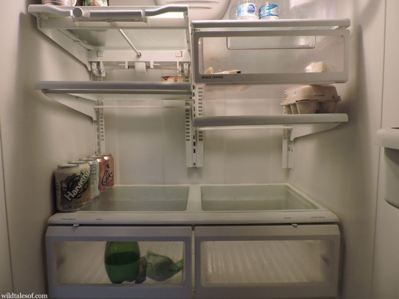 The Empty Fridge (Unless You Count Condiments)