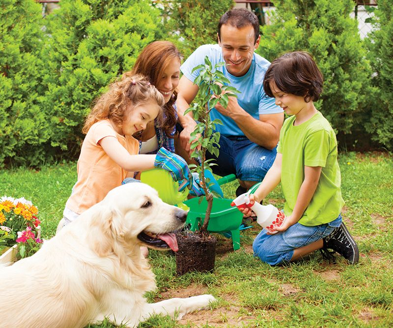 Plant a tree together to symbolize your growing bond