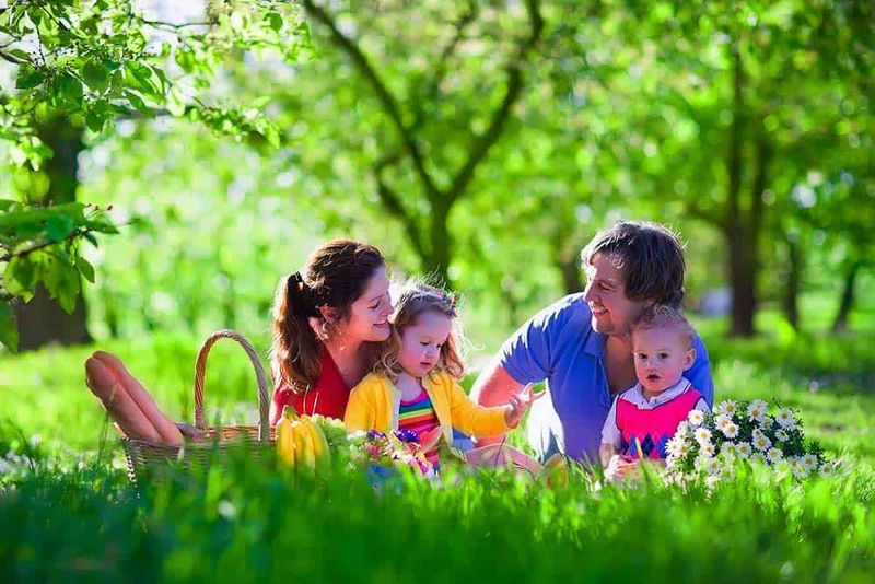 Plan a backyard picnic for no reason at all