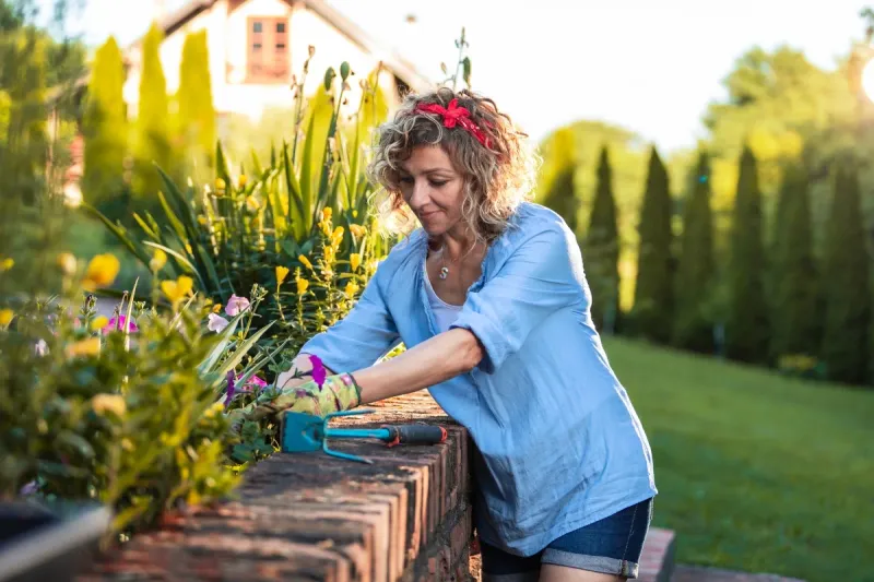 Join a Gardening Club and Swap Plants